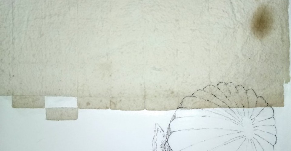 Um deserto de papel e tela - sequência