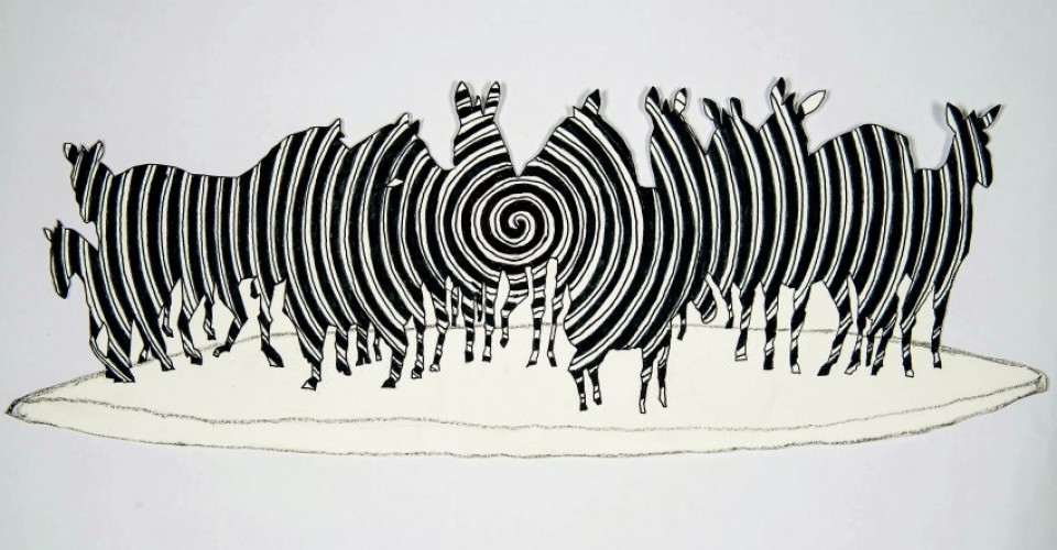 Efeito zebra